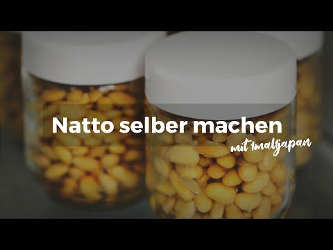 Natto selber machen | DIY Sojabohnen fermentieren im Joghurtmaker | japanisches Rezept