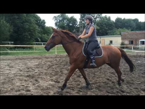 Skoki na cordeo- Fryga i Oliwia