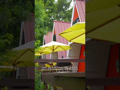 tu oasis en eusebio ayala