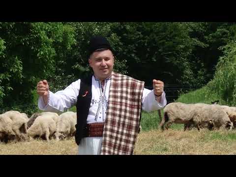 Marius Țugulescu - Sunt cioban din Vaideeni