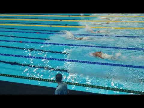 100 Farfalla Singapore 2025 (Marzio)