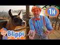 Blippi Meets A Cute Llama At A Petting Zoo In Brazil Blippi Educational Videos Moonbug Kids