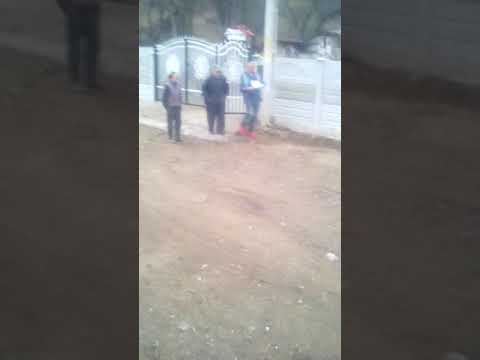 Un fuctionar public din comuna Bala din judetu Mehedinti  detine 5 fuctii el nu e bun  de nici una