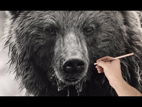 Hyperrealistic Bear Drawing / 90+ Hour Time-lapse