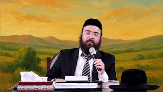 הרב נתנאל סנדרו בוחניק שליט"א - פרשת השבוע - לך לך (הרב נתנאל סנדרו בוחניק) - התמונה מוצגת ישירות מתוך אתר האינטרנט יוטיוב. זכויות היוצרים בתמונה שייכות ליוצרה. קישור קרדיט למקור התוכן נמצא בתוך דף הסרטון