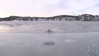 Все приколы про животных в одном видео Смех до слёз