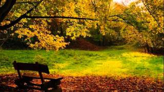 Michael Jackson - Much Too Soon Lyrics On Screen.