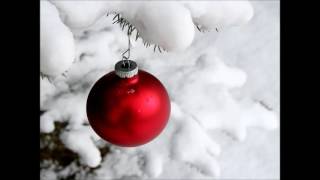 MERRY CHRISTMAS FROM MATT, GUNNAR. DEBBIE AND I