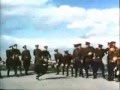 Сорока Белобока 