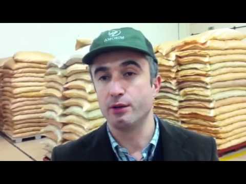 What is cork taint or TCA by Hugo Mesquita from Amorim