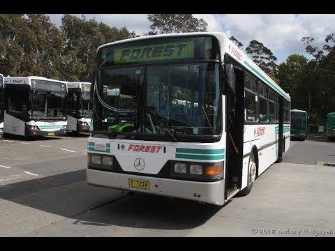 Forest Coach Lines [Terrey Hills] Mercedes-Benz O405 / Volgren CR221, m/o 7274