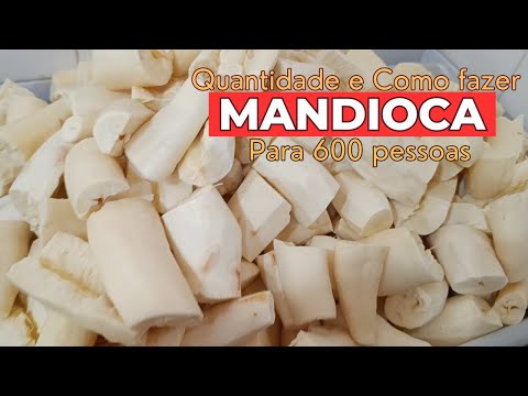 Mandioca para 600 pessoas