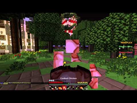 3-Way-Team Minecraft Hunger Games (Deutsch/HD)