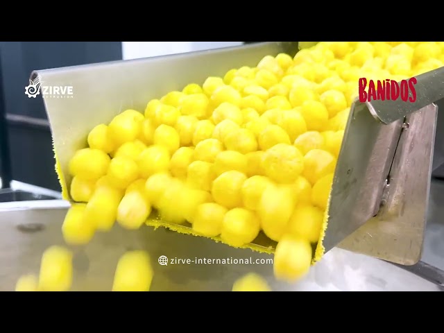 zirve extrusion | LC200-E PUFFED CORN PROJECT