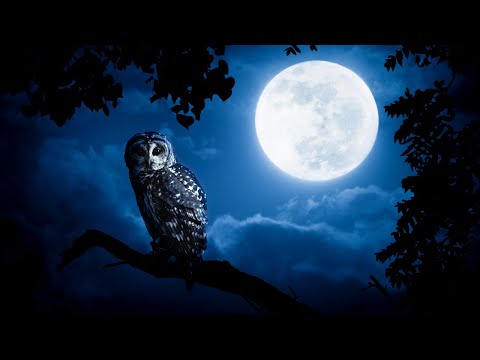 11 Hours of Deep Sleep ★︎ Stronger Immune System ★︎ Delta Waves, Melatonin Release