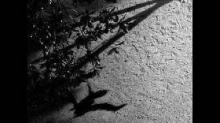 Max Richter - The Trees