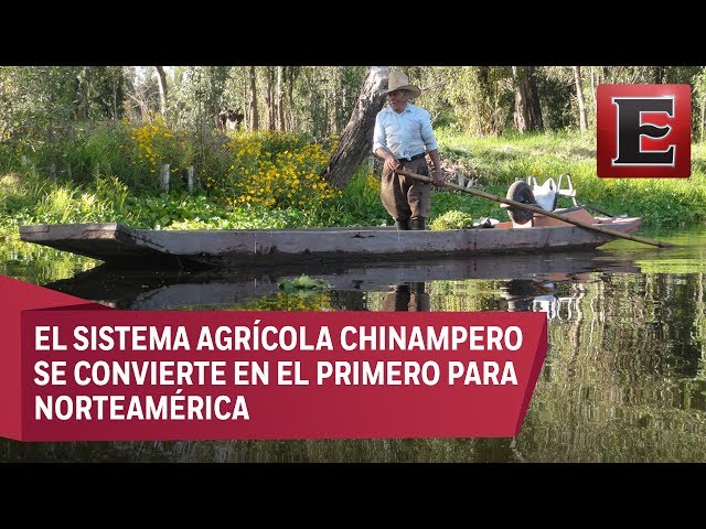 Youtube Imagen