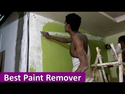 Best Paint Stripper For Wall And Other
