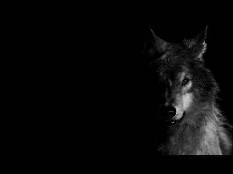 Seringai - Serigala Militia (Lirik Video)