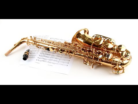 Saxofon, musikskolan Sölvesborg