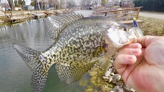 These Crappie were EVERYWHERE! - Spring Crappie Fishing!