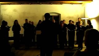 preview picture of video 'William Hawley, Torquato Tasso - Siepe, che gli orti vaghi (2010)'