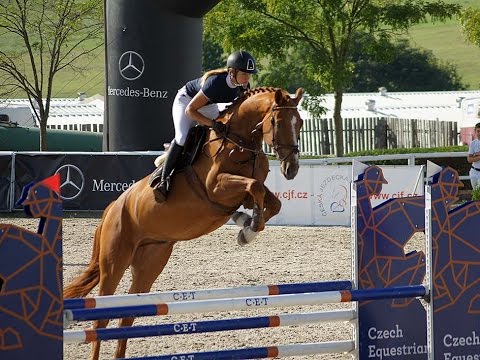 Helme, 4y old Diamant de Semilly