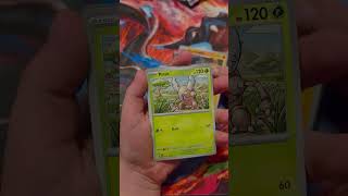 Youngest Son Opening Prismatic Evolutions.