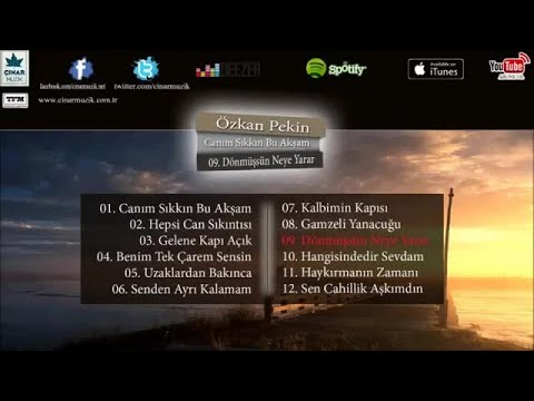 Özkan Pekin - Dönmüşsün Neye Yarar