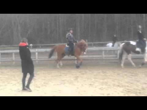 Franziska og Villiam dressur træning