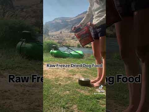 Camping made easy with Raw Freeze Dried food 🏕️ #northwestnaturals #camping #dog #dogcamping #treat