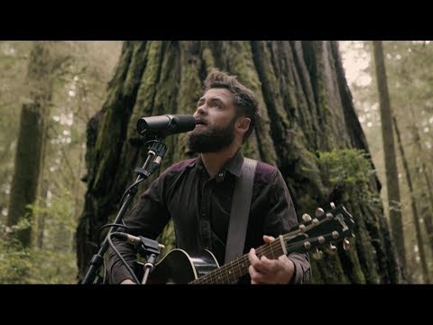 Passenger | Survivors (Acoustic Live from Jedediah Smith Redwood State Park, OR) Video