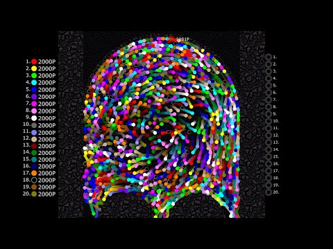 Stay Out of Last - Marble Race in Algodoo