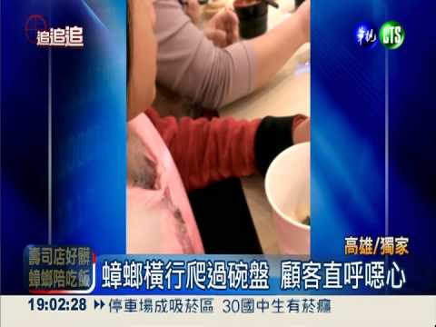 蟑螂爬過茶碗蒸 連鎖壽司遭投訴