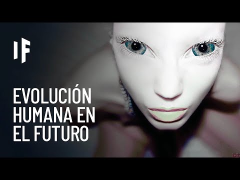 What would happen if our bodies continued to evolve?