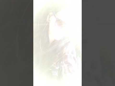 ❌⭕  Hetzer vrs.  Cosmo Korg ⭕❌ ~ favourite travel music part