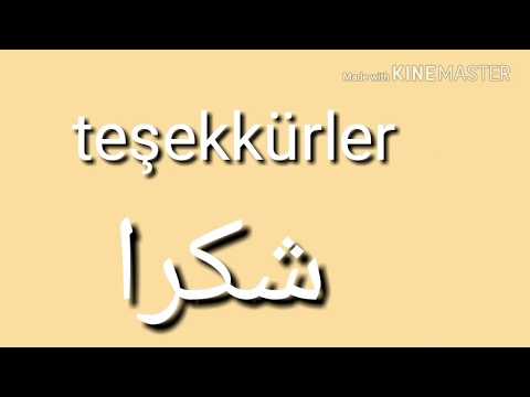 جمل مستخدمة يوميا في تركيا (2)