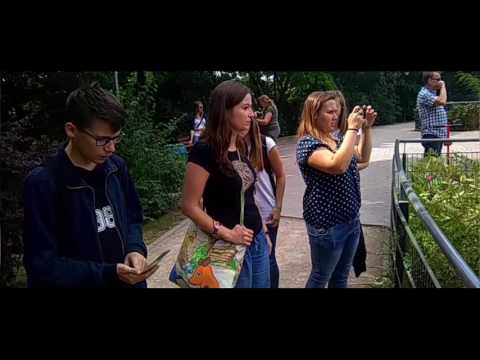 PRAKTYKI LOGISTYCZNE Prawdziwa Historia