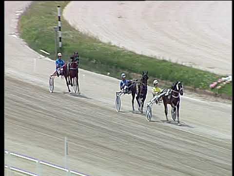 Trotto 08/06/2019 - 2ª prova di qualifica