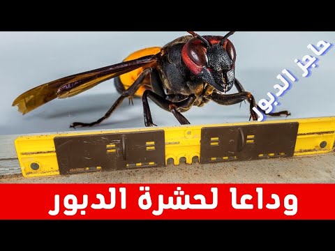 , title : 'كيفية حماية النحل من الدبابير/طريقة التخلص من الدبور/حاجز الدبور'
