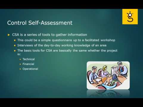 CISA Certification Domain Weighted Overview