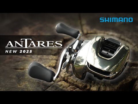 All You Need to Know about ANTARES 2025 | Shimano