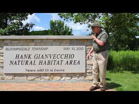 Welcome to the Hank G. Habitat from Fred Maier