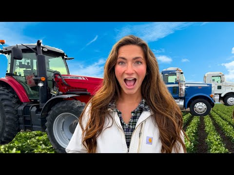 John Deere Girl Gets CRAZY Deals At Red Farm Auction