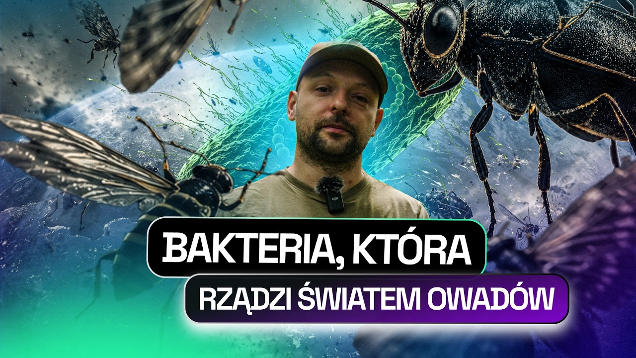 BAKTERIA FEMINISTKA - ELIMINUJE MĘŻCZYZN, TWORZY GATUNKI. SZTUCZKI WOLBACHII