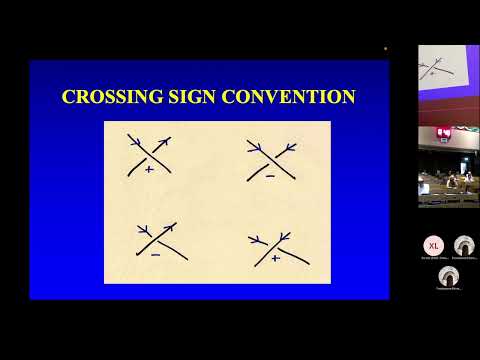 Helicity of Seifert framed defects - De Witt L Sumners