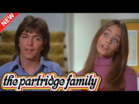 The Partridge Family 2024 🌸🌸  Full Episodes 2024 🌸🌸 EP7. Danny and the Mob 🌸🌸