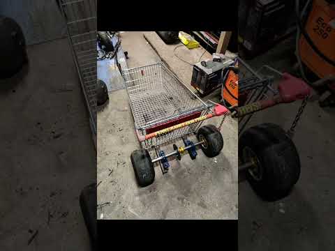 1800w electric Gokart build