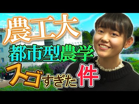 コンピュータ理工学科 【東京農工大学農学部】農学を学び、研究力で世界を変えていく