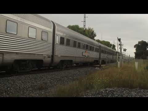 NR81 + NR31 #2TA8 "Great Southern" Spotswood 1/2/2023